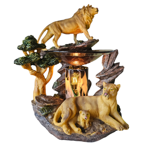 Lion Family